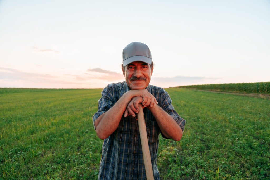 Golden Fields Tranquility Captured in Farmer's Gaze